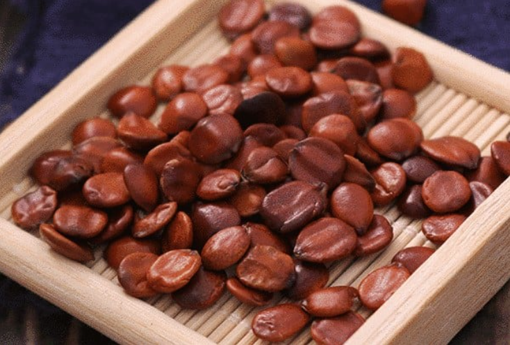 5 vị thuốc giúp ngủ ngon trong mùa đông